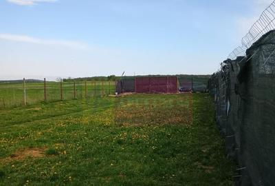 Teren cu constructie de vanzare in Urleta - 1