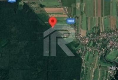 Teren intravilan_Padure_Palat Snagov - 2