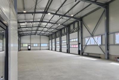 Inchiriere hala industriala noua, DN1 - Cristian, Sibiu - 4