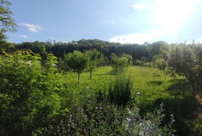 Casa spatioasa – Micesti, Arges, teren generos 2.500 mp, COMISION 0% - 5