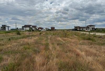 Teren 10.000 mp - Str. Octavian Goga, Craiovei! - 1