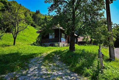 FILM! Proprietate autentica, Bran-Simon, 4.300 mp teren, casa traditionala + ane - 12