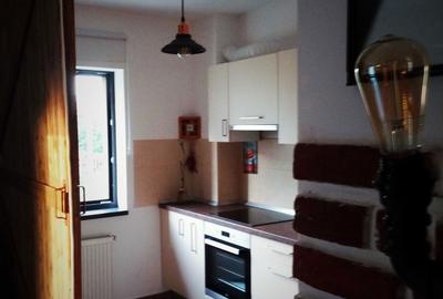 Apartament cu 2 camere decomandat în Dosu Bricii - 13