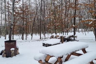 Spațiu comercial, în Cristian - 7