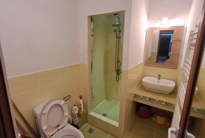 Apartament 2 camere de vanzare langa Parcul Tineretului - 5