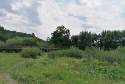 Curte 3025mp , Bughea de Jos, 5 min Valeni PH - 20