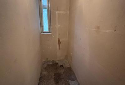 Vanzare apartament cinci camere vila D+P+2 Medicina Cotroceni - 23