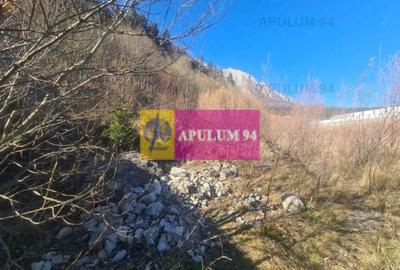 Teren intravilan de vânzare în Bușteni - Zona centrala - 2