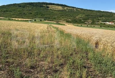 Teren de 2000 mp, în Șoimuș - 2