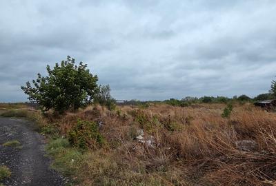 Berceni- zona Persu,Postalionului -Dealu Corbului, capat STB 241! - 5