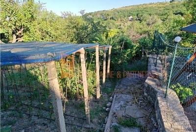 EXCLUSIVITATE! Casa+teren si cabana de lemn zona Naeni - 25