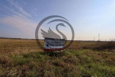 Teren de 5050 mp, în Blejoi - 3