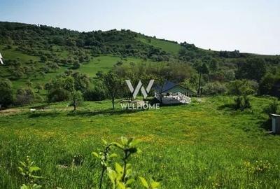 Teren Construcții intravilan de 5129 mp, în Bradu - 2