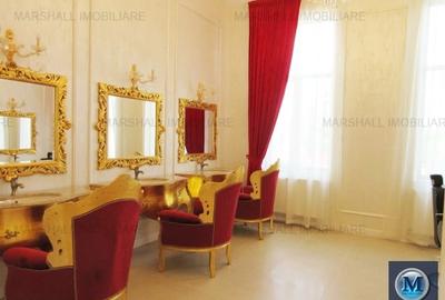 Vila cu 14 camere de vanzare, zona Ultracentral, 327 mp #13125 - 9