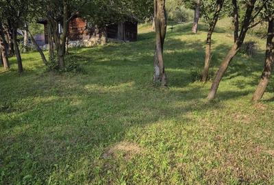 Casă cu Teren 3200 Mp în Central - 2