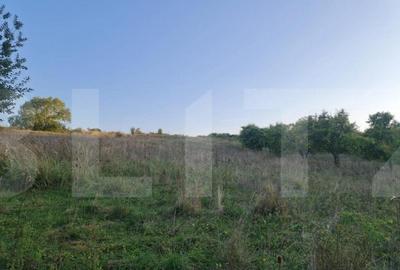 Teren, 11.600 mp, Campenesti - 1