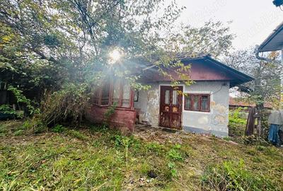 Vand casa traditionala autentica in sat Milostea, judet Valcea, perisaje frumoase, zona linistita - 6