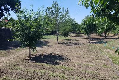 Casă cu 3 camere cu Teren 1845 Mp în Central - 1