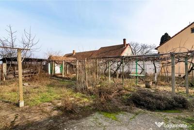 Casă cu 2 camere cu Teren 3036 Mp în Borș - 2