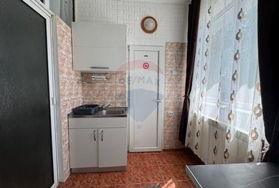 Apartament cu 1 camere în Central - 5
