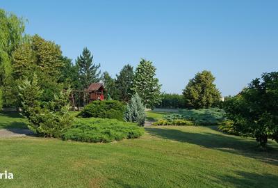 Teren de 8000 mp, în Sânmartin