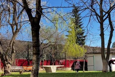 Garsonieră nedecomandată, mobilată în Baza 3 - 8