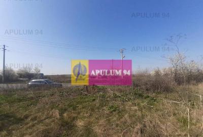 Teren de 4800 mp, în Glina - 11