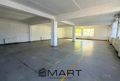 Spatiu Industrial - 1