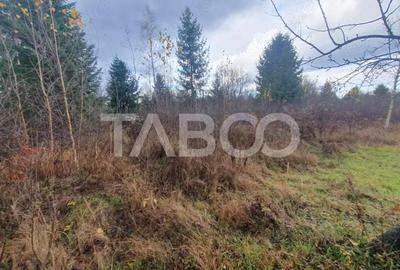 Teren extravilan 1000 mp Statiunea Climaterica Sambata de Sus - 2