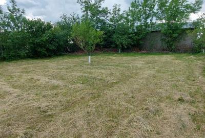 Spațiu comercial, în Periș - 5