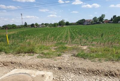 Teren intravilan 1000 mp – asfalt, utilități în apropiere – Moara Vlăsiei - 7