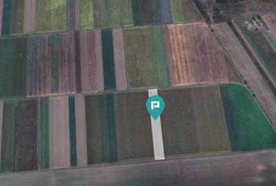 Teren extravilan de 14.500 mp in Caporal Alexa