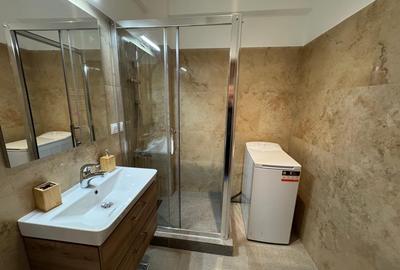 Inchiriere apartament mobilat, cartier Marasti/Podul Ira - 8