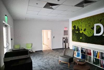 Central Business Park Subinchiriere, Marasesti, 700 - 1750 mp  0% comision! - 10