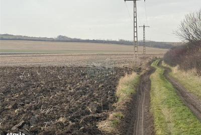 Spațiu comercial, în Șura Mică - 4