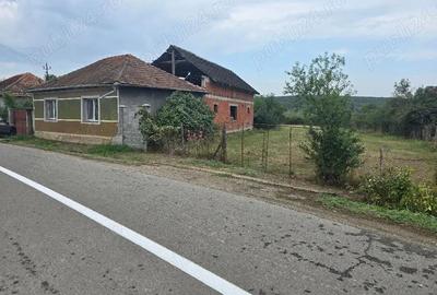 Casă cu 5 camere cu Teren 2670 Mp în Haieu - 4