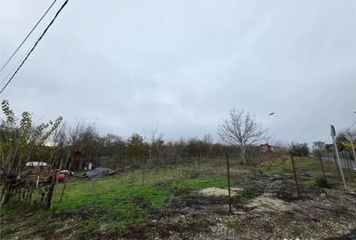 Teren de 16000 mp, în Brănești - 4