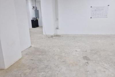 Cismigiu, sp com 386 mp - 5