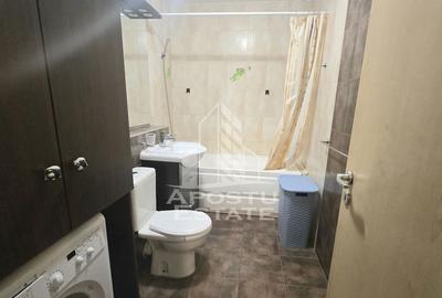 Apartament cu o camera si terasa 14 mp, zona Aradului - 3