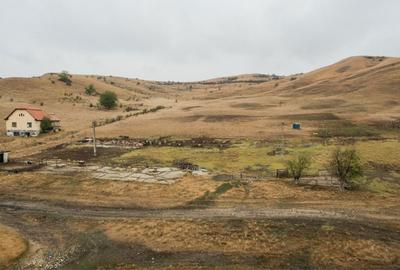 Teren de 540000 mp, în Măhăceni - 1