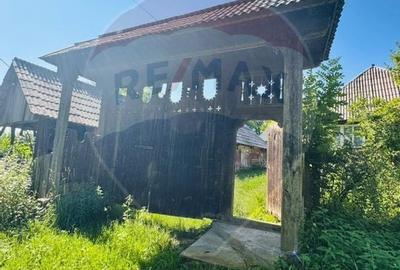 Casă individuală cu 2 camere cu Teren 4890 Mp în Hărnicești - 2