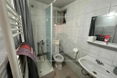 Casa de vacanta in Cartisoara, Transfagarasan - teren 971 mp, 8 camere - 3