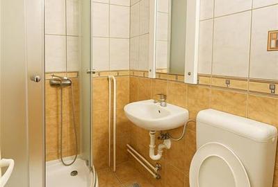 Apartament cu 4 camere decomandat în Nufărul - 13