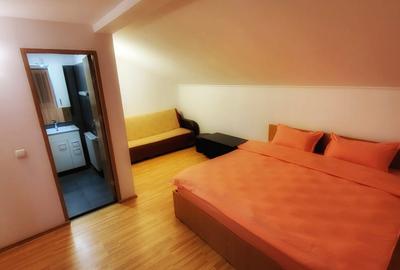 Apartament cu 2 camere în Bușteni - 8
