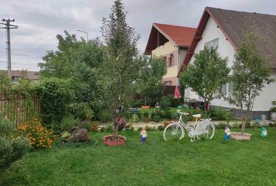 Casă în Râșnov Romacril - 3