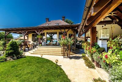 VILĂ ISTORICĂ INTERBELICĂ – ARAD, CARTIER GAI
