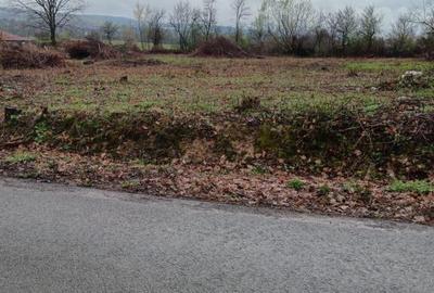 Unguras, 20 ari teren - 1