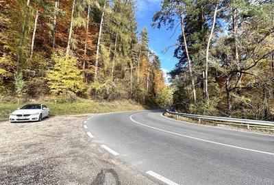 Teren intravilan cu PUZ 2000/400 mp -Sacele  - Bradet - 12