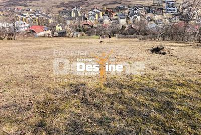 Teren Construcții intravilan de 3000 mp, în Rediu - 1