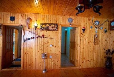 Statiunea turistica Leresti, Judetul Arges - 3